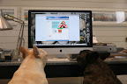 Friends & Family Time at PetSmart and New Cat Products, Too!