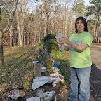 Handing out free tree seedlings