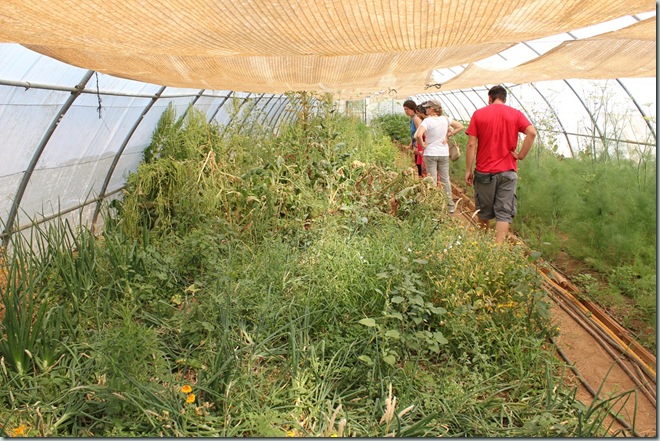 Ecoaldea / Ecovillage Los Portales: de la Comunidad Intencional a la idealizada