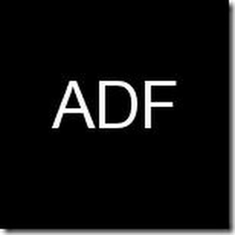 How to Set Customized Text Field Width for Web Pages Designed in ADF