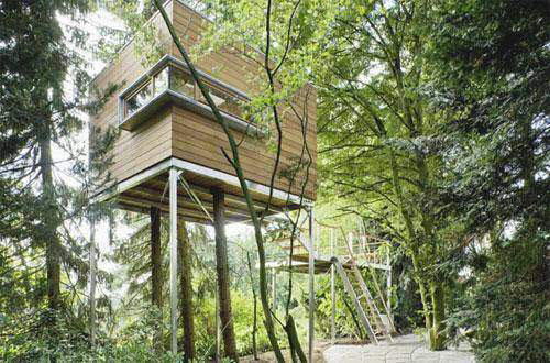 Amazing Tree Houses