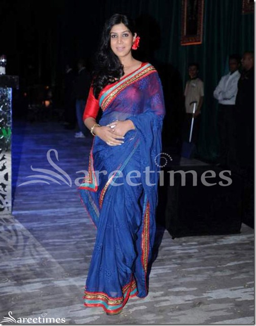Blue_Transparent_Saree
