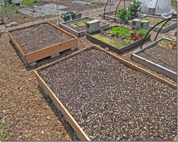 New raised beds filled with Mel's Mix