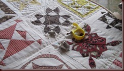 IMG_2427 IMG_2427