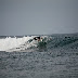 _MG_8369.JPG