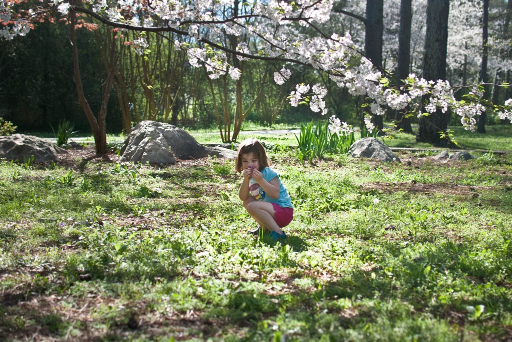 [DSC_4509%255B5%255D.jpg]