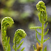 IMG_5165_DxO_RAW.jpg