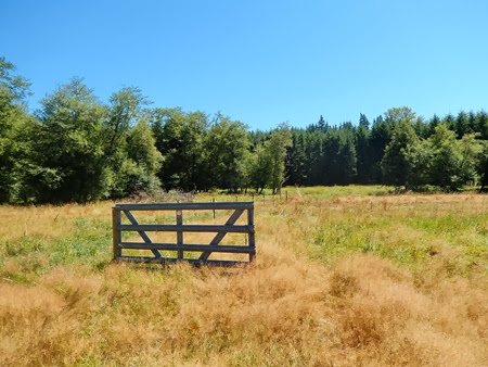 random gate random gate