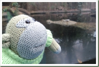 Paington Zoo 13 Paington Zoo 13