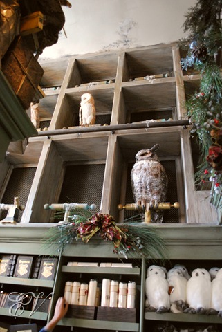 [DSC_0250%255B14%255D.jpg]