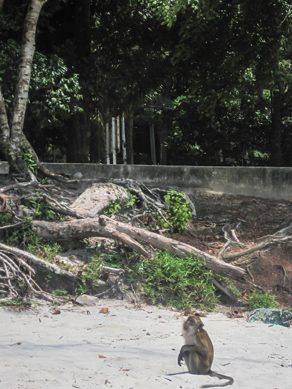 Лангкави, Малайзия - август 2012 (ч.2 - Пляжи)