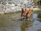 IMG_2621.JPG