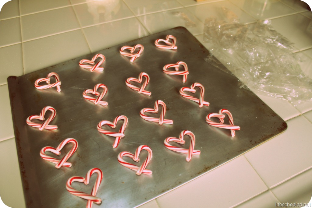 [candy-canes9.jpg]