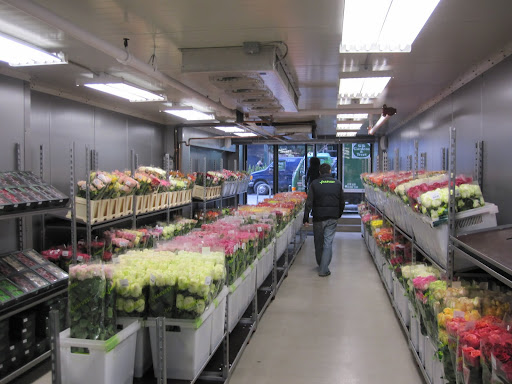 The entire store is a walk-in refridgerator and there are hundreds of varieties of roses.