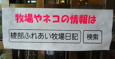 DSC05937 DSC05937