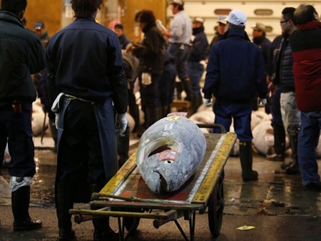Mercado de peixe de Tsukiji, em Tóquio (Foto: Shuji Kajiyama/AP Photo)