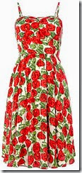 Louche Rose Print Summer Dress Louche Rose Print Summer Dress
