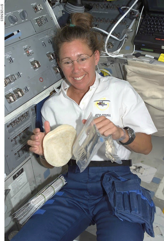 Sandra-Magnus-ISS-11 Sandra-Magnus-ISS-11