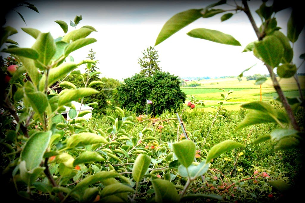 [IMG_2068-001%255B5%255D.jpg]