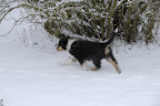 _DSC0001.JPG