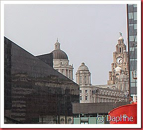 IMG_9984 IMG_9984