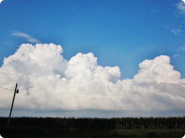 spainish-ish meal, clouds, pincushions 046