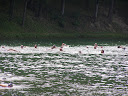 P8080137.JPG