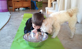 2011-11-29 09.35.17.jpg