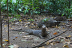DSC06716.JPG