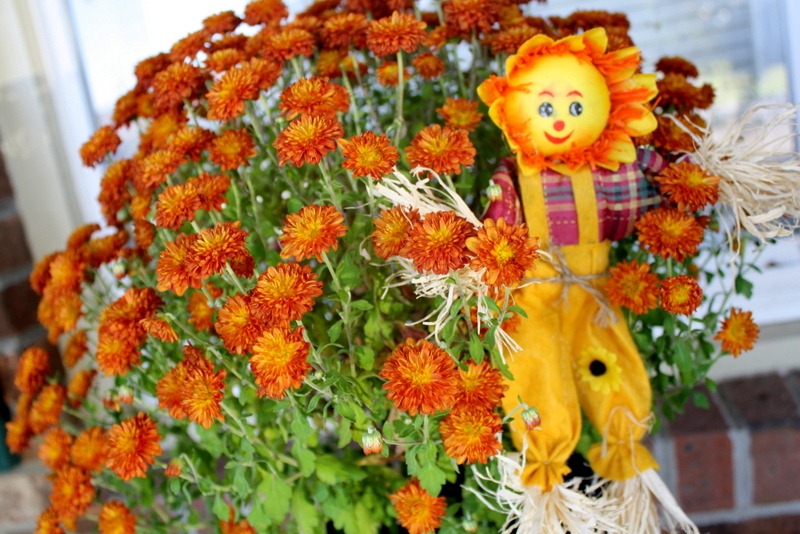 [Pumpkin%2520Spice%2520Lattes%252C%2520Friends%252C%2520and%2520Walking%2520Trails%2520061%255B4%255D.jpg]