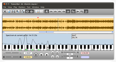 transcribe transcribe