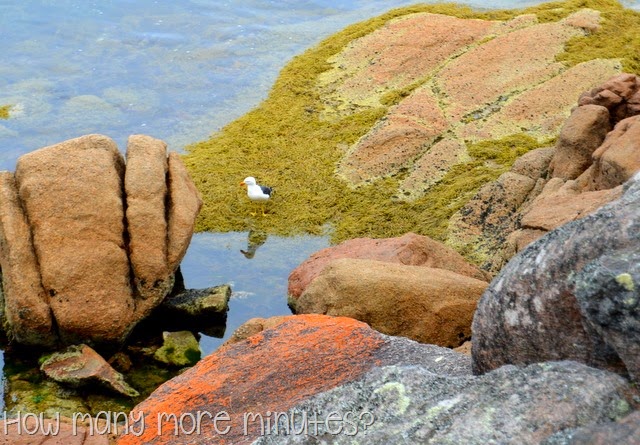 [DSC_3434%255B3%255D.jpg]