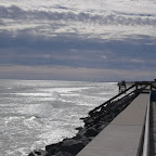 IMGP0407.JPG