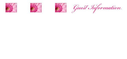 Pale Pink Gerbera 5 Guest Information