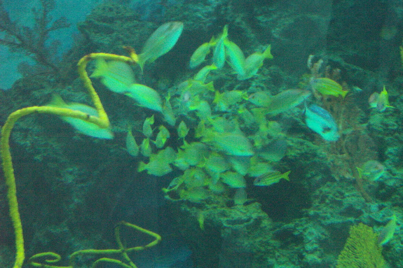 img_035.jpg