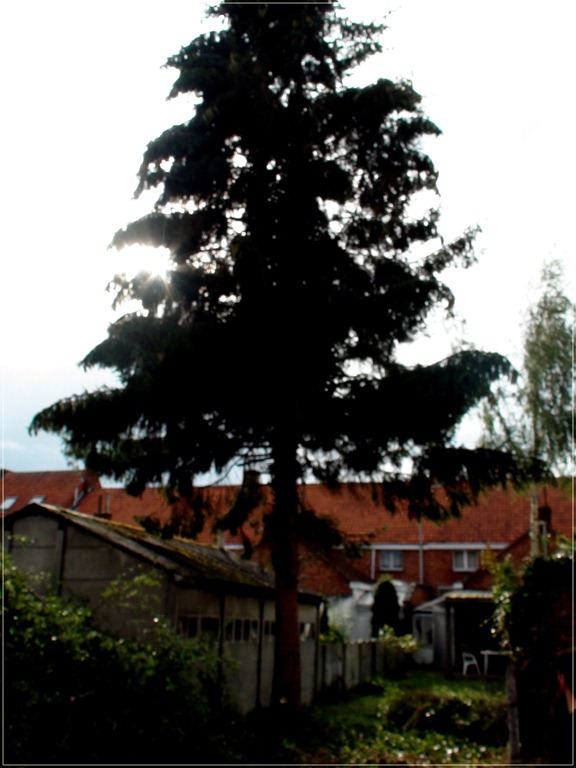 [DSC06877%255B3%255D.jpg]