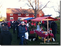 IMG_1711 IMG_1711