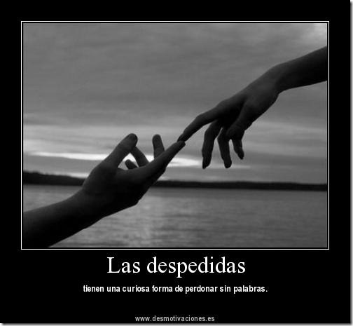 FRASE CORTA PALABRA MAGIA frase corta palabra magia:
