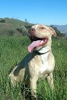 TRM Plumbing was so efficient that they completed the plumbing job with enough time to take me on a hike at Runyan Canyon in Hollywood 90046. TRM Plumbing was so efficient that they completed the plumbing job with enough time to take me on a hike at Runyan Canyon in Hollywood 90046.