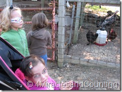 IMG_6155 IMG_6155