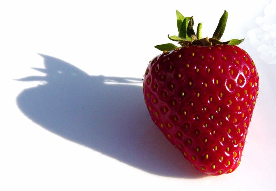 [Strawberry-43.jpg]