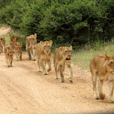 KrugerSecondVisit KrugerSecondVisit