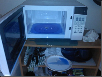 microwave2