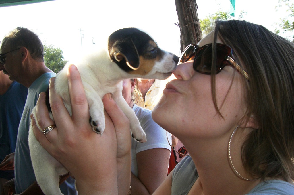 [CIMG3518%255B2%255D.jpg]