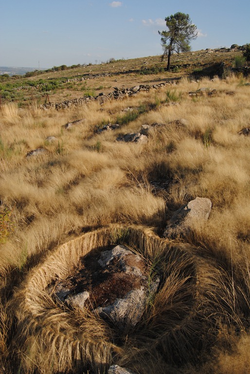 [7%2520-%2520M%25C3%25B3nica%255B7%255D.jpg]