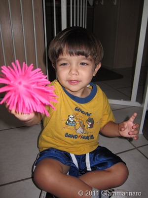 IMG_0456 IMG_0456
