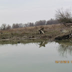 IMG_1523.JPG