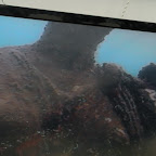 DSCN7349.JPG