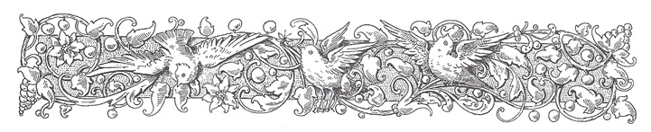 Antique Engraving of Birds