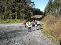 IMG_2541.JPG Photo